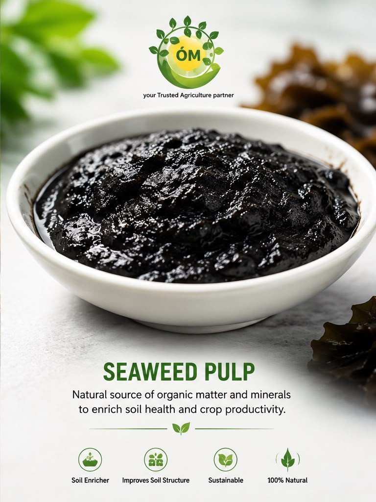 Seaweed Pulp
